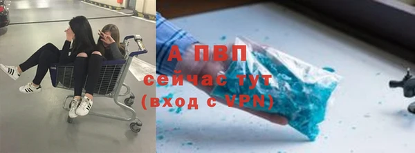apvp Белокуриха