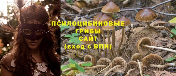 apvp Белокуриха