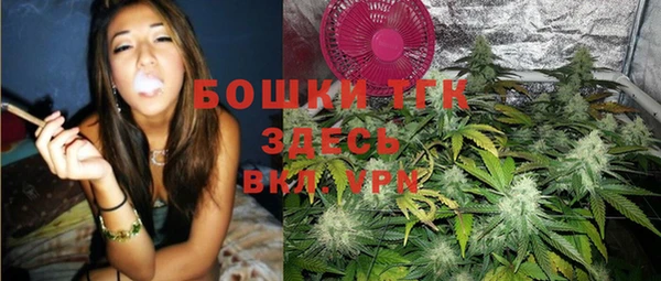 apvp Белокуриха
