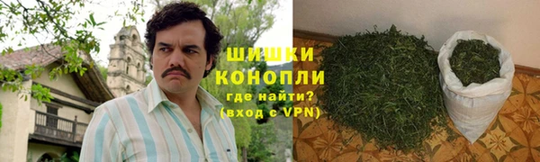 apvp Белокуриха