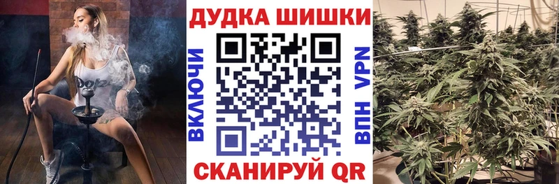 Бошки марихуана планчик  наркотики  Бутурлиновка 